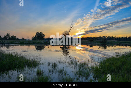 Reitwein, Germany. 31st May, 2019. The morning sun shines over a small pond in the flood area between the dike and the German-Polish border river Oder. Credit: Patrick Pleul/dpa-Zentralbild/ZB/dpa/Alamy Live News Stock Photo