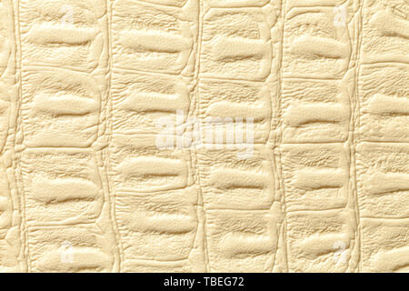 Beige leather texture background, closeup. Light yellow reptile skin, macro. Nature structure of textile. Luxury crocodile decorative backdrop. Stock Photo
