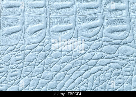 Light blue leather texture background, closeup. Sky reptile skin, macro. Nature structure of textile. Luxury crocodile decorative backdrop. Stock Photo
