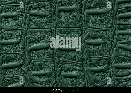 Navy blue leather texture background, closeup. Dark reptile skin, macro.  Nature structure of textile. Luxury crocodile decorative backdrop Stock  Photo - Alamy