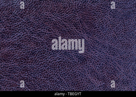 lacquered dark violet leather texture background, closeup. Navy blue backdrop from wrinkle skin, structure of textile. Stock Photo