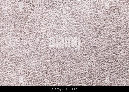 Light gray background from a soft upholstery textile material, closeup. Matte silver velvet fabric with natural texture. Cloth backdrop. Stock Photo