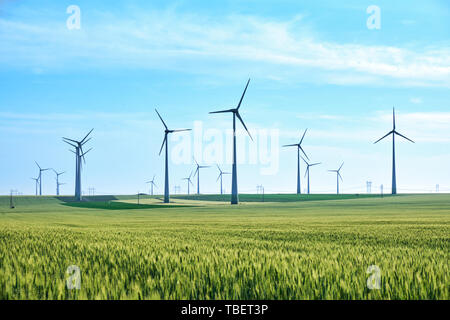 Wind turbines and vivid colors of green wheat field in the Spring on a blue sky, late afternoon. Concept for green energy and a sustainable future. Stock Photo
