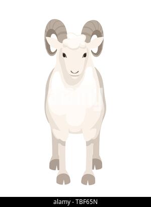 White horned mountain ram sheep cartoon character design flat vector animal illustration isolated on white background. Stock Vector