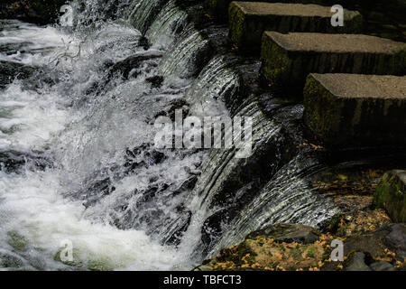 Footbridge over the the Shimna River made of stepping stones in the Tollymore Forest Park located at Bryansford, near the town of Newcastle, Northern  Stock Photo