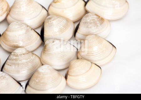 Baibei Stock Photo