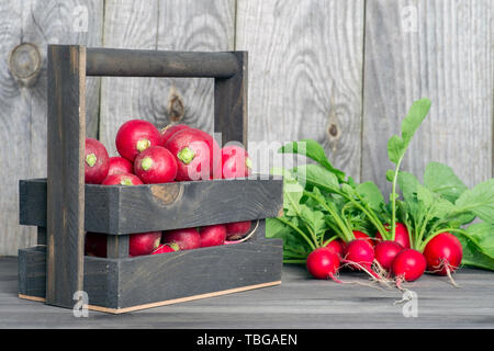 Red radish in a wooden box on the background of a bunch of radish with green tops on a wooden background. The concept of sustainability of the farm pr Stock Photo