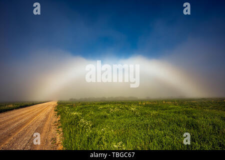 Rare White Rainbow Fogbow near the path Stock Photo