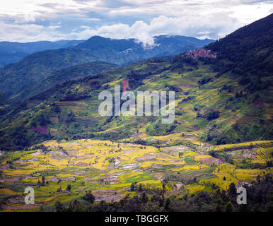 Ailao Mountain scenery Stock Photo