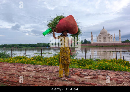 Young Indian girl with a red sack with cut herbs in Mehtab Bagh, Taj Mahal View Point, Agra, Uttar Pradesh, India Stock Photo