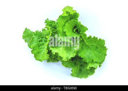 Fresh homemade greens from the garden. Isolate Selective focus. nature. Stock Photo