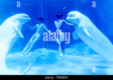 The love of mermaids in Shanghai Haichang Ocean Park Stock Photo