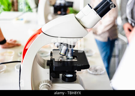 Hand of medical expert using a microscope in a laboratory. Stock Photo