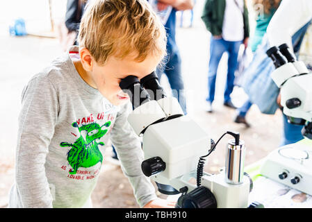 Child with curiosity during a medicine fair looking at bacteria through a microscope and learning science. Stock Photo