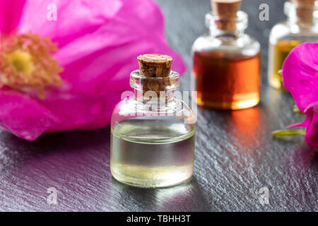 A bottle of essential oil with fresh Rosa Rugosa flowers Stock Photo