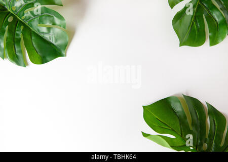 Frame of Monstera leaves on white background with copy space. Minimalism flat lay. For lifestyle blog, book, article, social media. Stock Photo