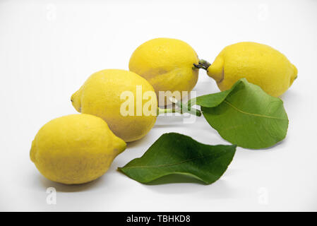 Lemons with leaves isolated on white background Stock Photo