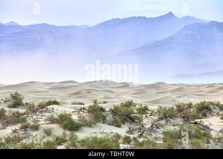 Mesquite Flat Sand Dunes in Death Valley, California, USA Stock Photo