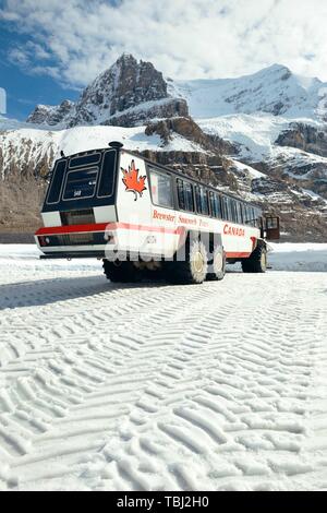 BANFF NATIONAL PARK, CANADA - SEPTEMBER 4: Columbia Icefield with Snow Coach on September 4, 2015 in Banff National Park, Canada. It is the largest ice field in the Rocky Mountains of North America. Stock Photo