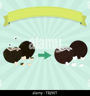 Rotten coconut fruit and pieces of coconut with flies and fresh coconut fruit and pieces of coconut. Blank ribbon for insert text. Stock Vector
