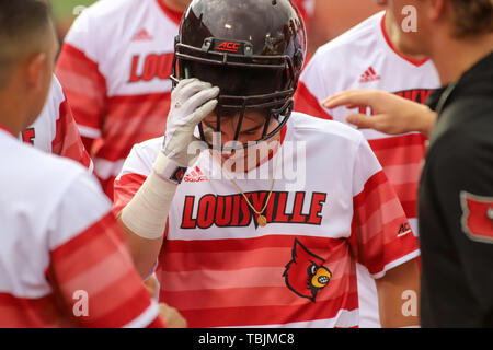 Louisville, KY, USA. 31st May, 2019. Louisville's Scott Ota takes off a football helmet used to celebrate his home run during an NCAA Baseball Regional at Jim Patterson Stadium in Louisville, KY. Kevin Schultz/CSM/Alamy Live News Stock Photo