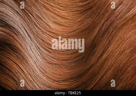 Healthy long female hair, closeup Stock Photo