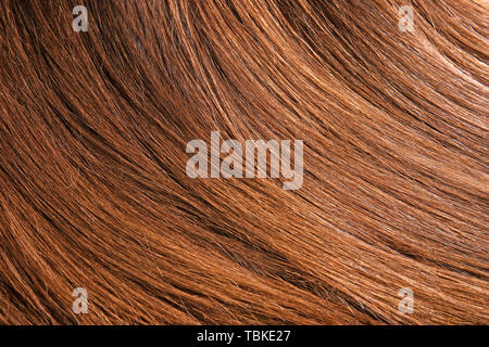 Healthy long female hair, closeup Stock Photo