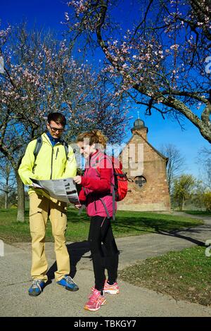 Hikers read map in front of the Nikolauskapelle, Klingenmunster, Palatinate Almond Trail, German Wine Route, Rhineland-Palatinate, Germany Stock Photo