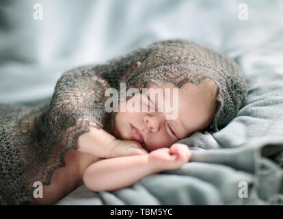 Portrait of a newborn 12 days old baby boy Stock Photo