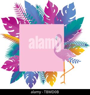 exotic and tropical leafs plants square frame vector illustration ...