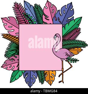exotic and tropical leafs plants square frame vector illustration ...