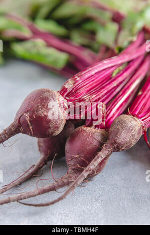 Group of chard with beetroots. Young beetroot with fresh leaves. Stock Photo