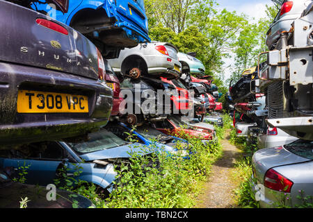 Cars with their wheels removed are stacked in rows of piles of 3 cars with paths between them in a breakers scrap yard Stock Photo