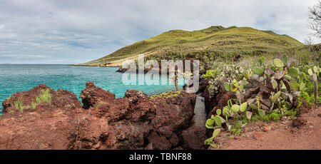Shoreline of Rabida Island in the Galapagos. Lava contains high levels of iron, which oxidizes to a red color. Stock Photo