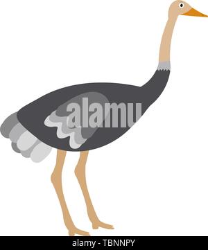 Ostrich icon in flat style, african animal vector illustration Stock Vector