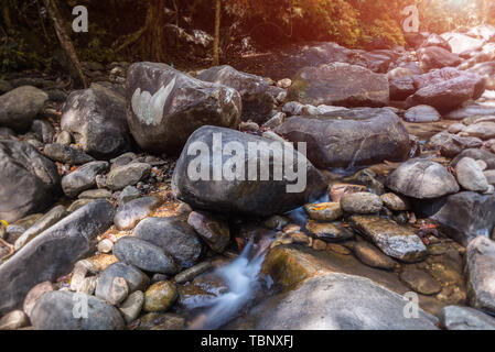 Stones and grop of  nature rocks with forest water in nature scape dark and low lighting. Stock Photo