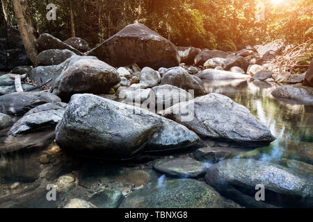 Stones and grop of  nature rocks with forest water in nature scape dark and low lighting. Stock Photo