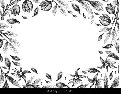 Illustration Frame of Hand Drawn Sketch of Borage Seeds and Almonds on White Background. Stock Vector
