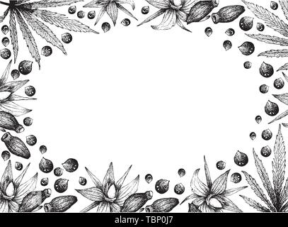 Illustration Frame of Hand Drawn Sketch of Borage Seeds with Hemp Leaves and Seeds on White Background. Stock Vector