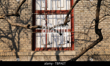 Nostalgic brick walls, mottled tree shadows Stock Photo