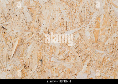 pressed sawdust in the board. background of pressed beige wooden sawdust. Stock Photo