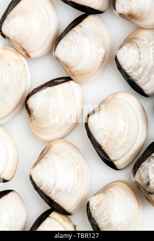 Baibei Stock Photo