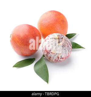 Tasty blood oranges on white background Stock Photo