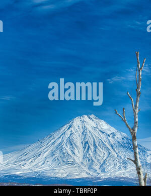 Avachinsky volcano in Kamchatka and the blue sky Stock Photo