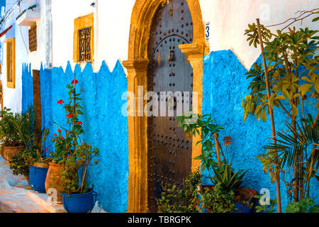 Blue and white traditional street with plants and palm trees in pots in Medina in Rabat, Morocco, Africa Stock Photo