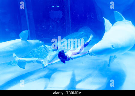 The love of mermaids in Shanghai Haichang Ocean Park Stock Photo