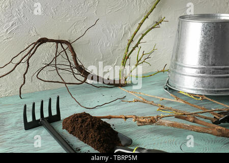 Seedlings with tools, soil and bucket on wooden table Stock Photo