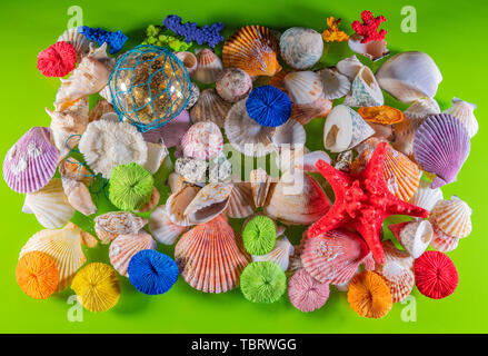 Sea shells background decoration. Beautiful Sea shells background decoration Stock Photo