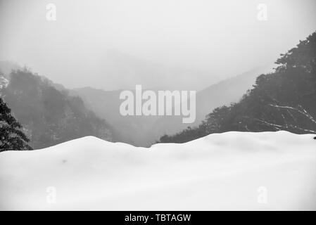 Black and white scenery of heavy snow in Xiaoshan, Hangzhou Stock Photo