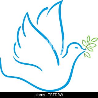 Vector illustration. Peace dove flying. Soft color and modulate lines. Stock Vector